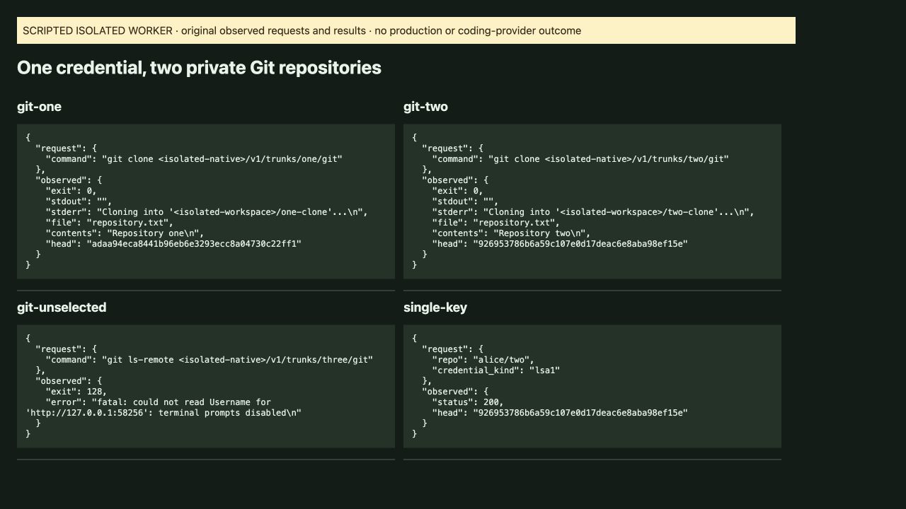 Actual private Git clone outputs, files and unselected refusal.