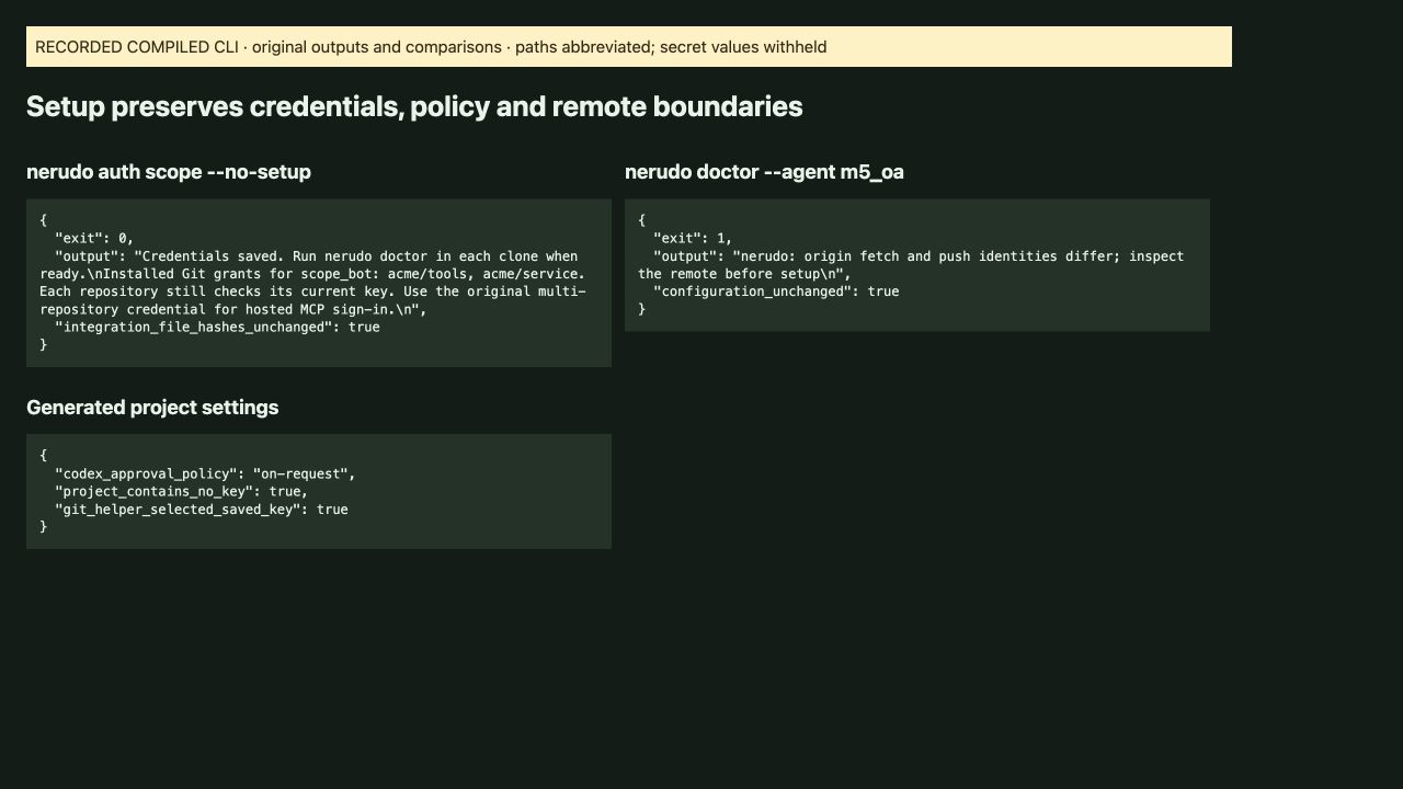 No-setup leaves files unchanged; mismatched origin is refused.